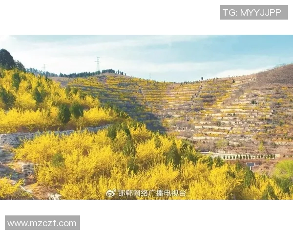 特奥精神闪耀全球助力残障人士追梦之旅与社会融合新篇章